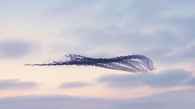 昔の技術で斬新に表現。空飛ぶ鳥の軌跡を写した写真9