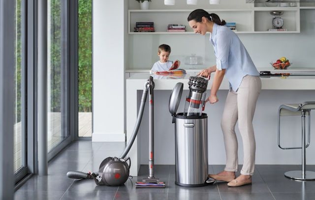 Dyson Cinetic Big Ball Animal 4