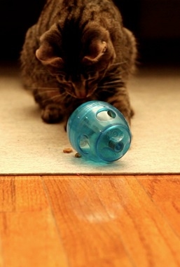 猫のためのガジェット フードパズル