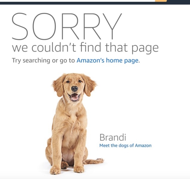 160907_amazon2.jpg