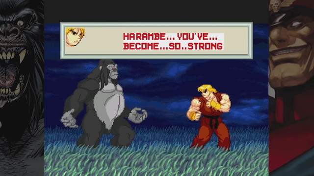 射殺されたゴリラのハランベが格闘ゲームに参戦?3