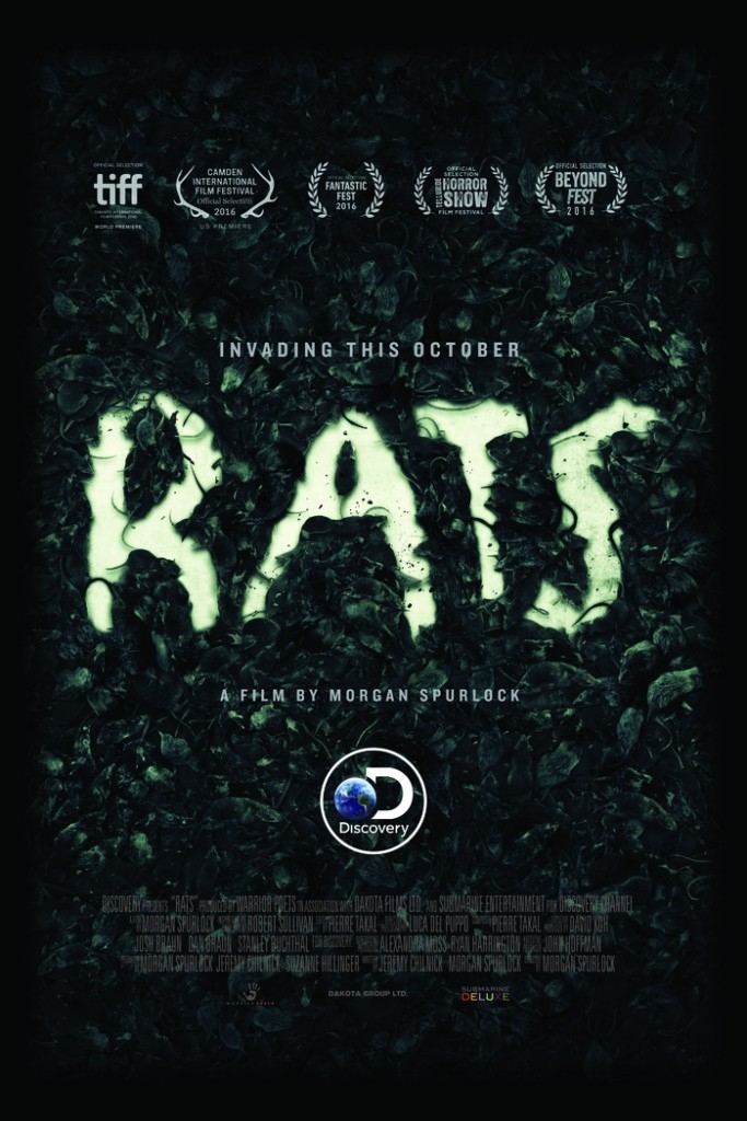 160926rats1.jpg