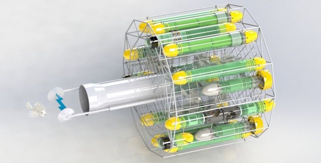 大繁殖したミノカサゴを捕まえるためのロボット ミノカサゴターミネーター