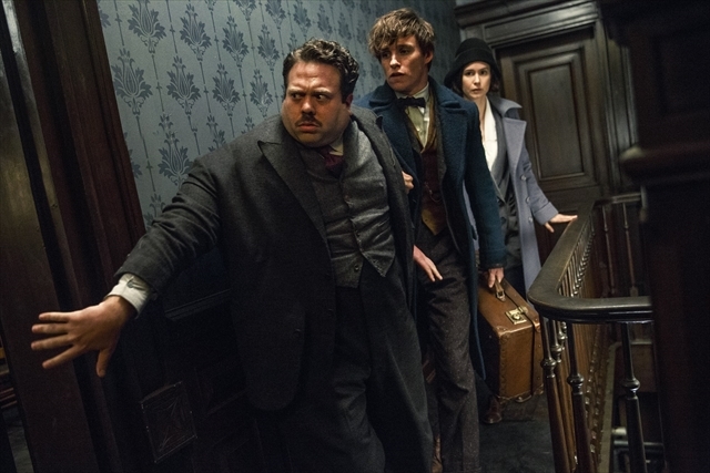 161125fantasticbeastsandwheretofindthem3.jpg