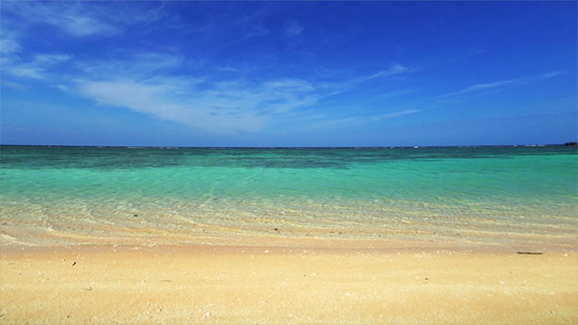 161201_anywherevr_6.jpg