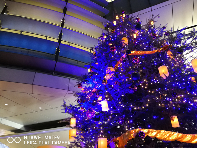 161208_mate909.jpg