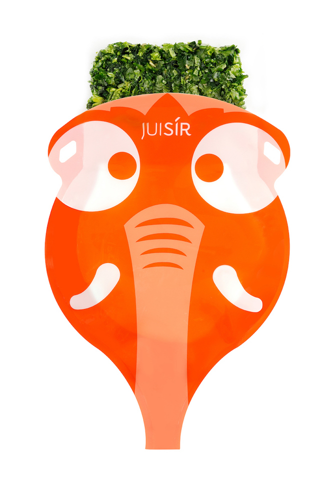 170121_juisir3.jpeg