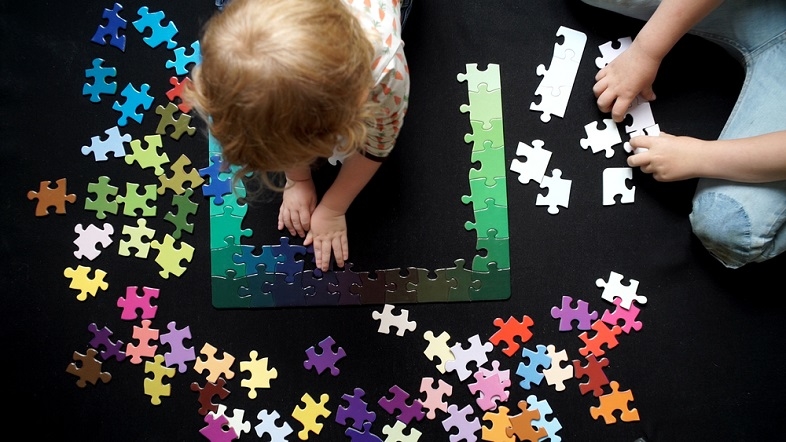 170126jigsaw100.jpg