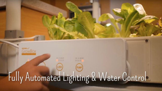 20170111growbox_2.jpg