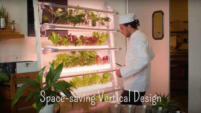 20170111growwall_1.jpg