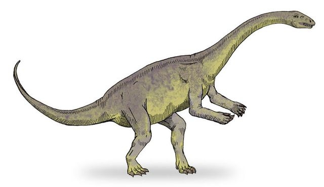 恐竜の肉付き骨、発見される。最古のタンパク質か2