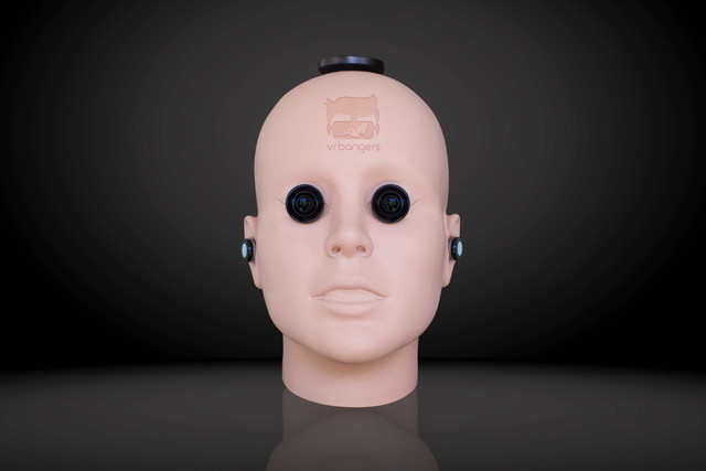170210_vrhead3.jpg