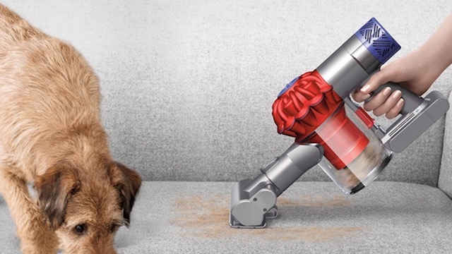 Dyson V6 Top Dog 猫の日割 2