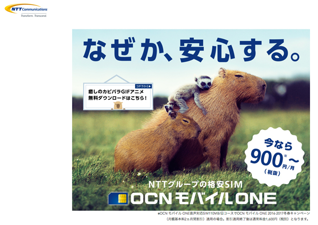 170316_ocn01.jpg