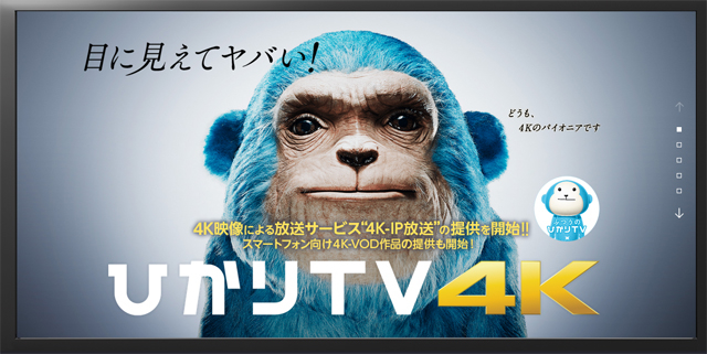 170327_hikariTV_02_04.jpg