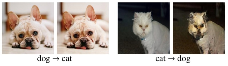馬はシマウマに、犬は猫に...?フォトショ並みの画像変換「CycleGAN」の腕前はいかに7
