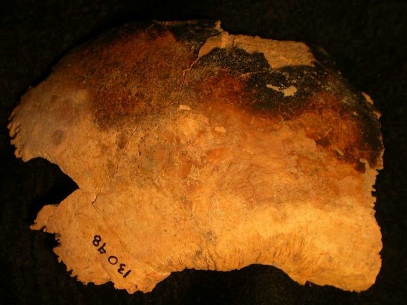 中世の人たちは死体がゾンビとして蘇らないように切り刻んでいた!?