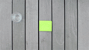 170419saik02.gif