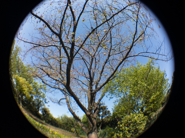 170426ktiphonelens06.jpg