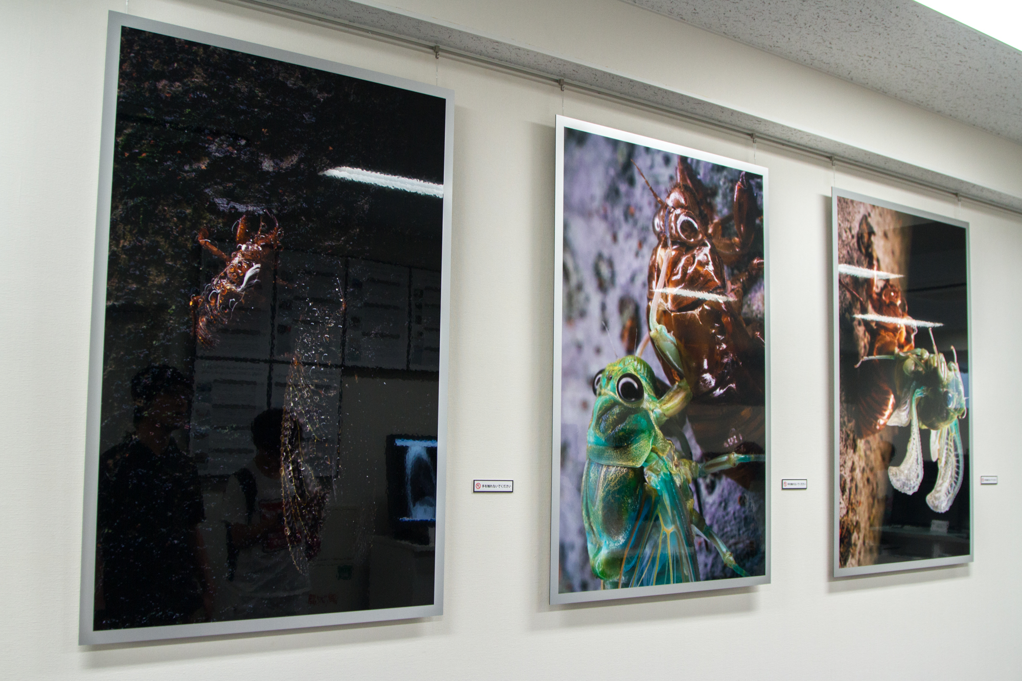 ジェットダイスケ 写真展 6