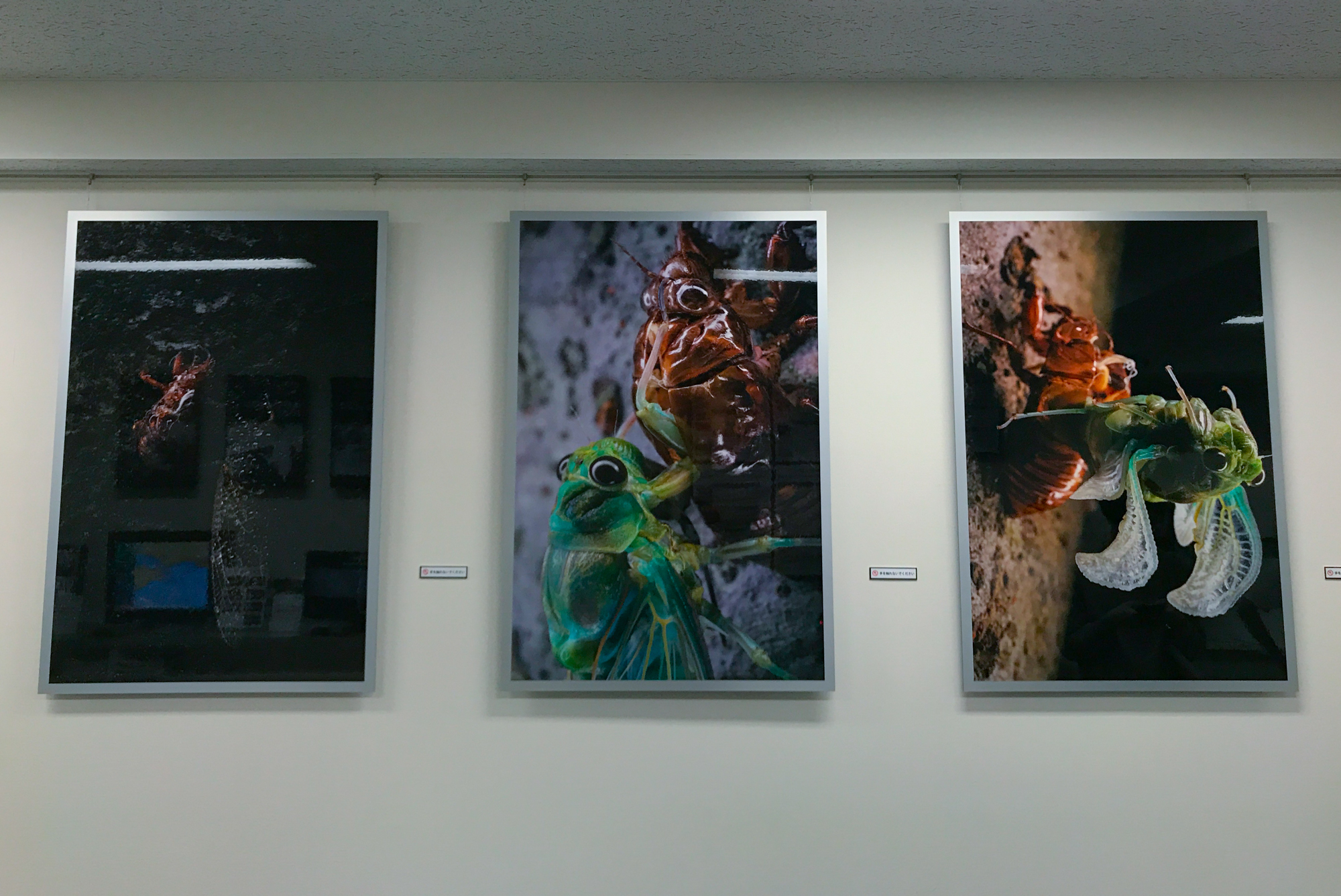 ジェットダイスケ 写真展 10