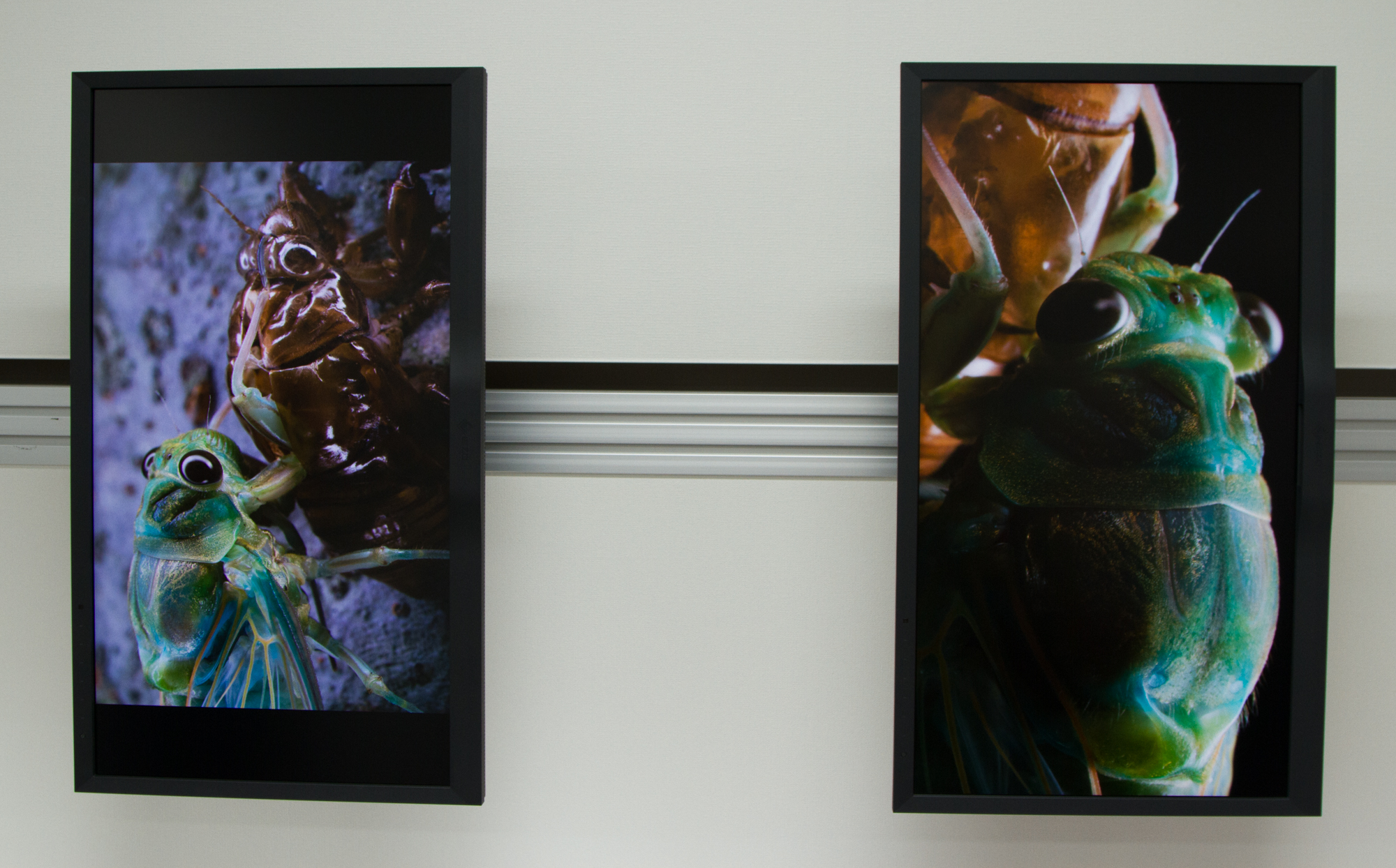 ジェットダイスケ 写真展 15