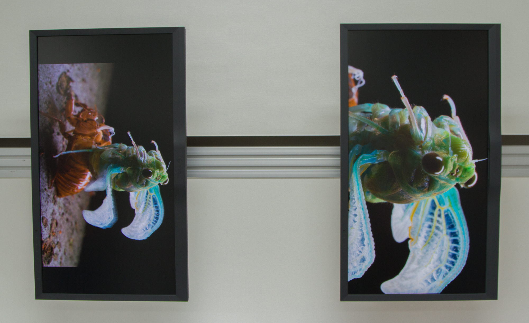 ジェットダイスケ 写真展 9