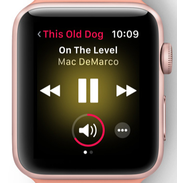 170606-watchOS-matome-06.jpg