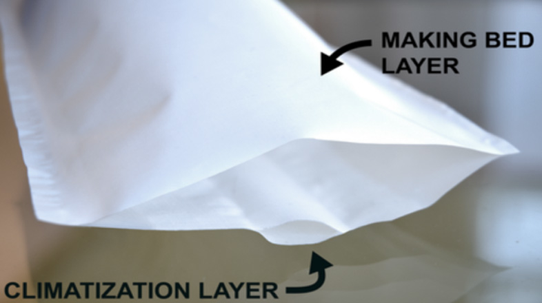 20170624_bed6.jpg