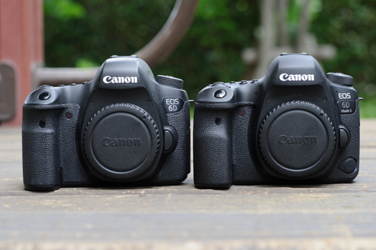 キヤノン EOS 6D Mark IIレビュー:手軽に使いたいならベスト ...