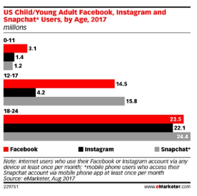 1 SNS業界、Facebook一強体制に陰りが
