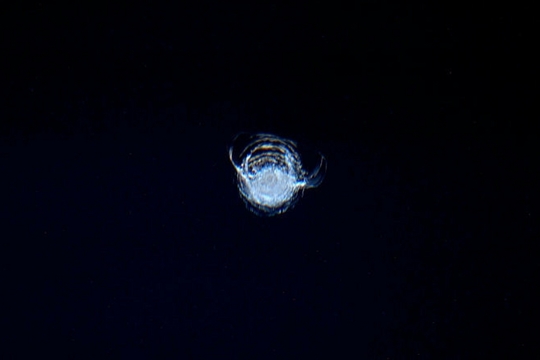 国際宇宙ステーションではゾッとする絶対見たくない写真