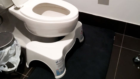 171214SquattyPotty3