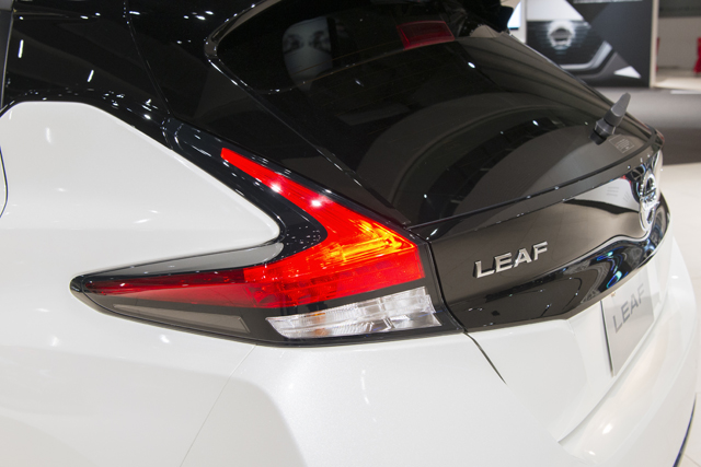 171225_leaf07
