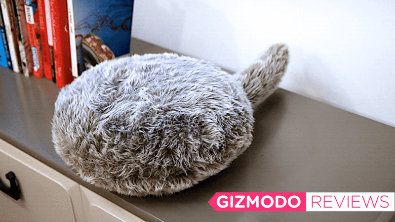 ユカイ工学「クーボ（Qoobo）」レビュー：どうしてもリアル猫と比べて