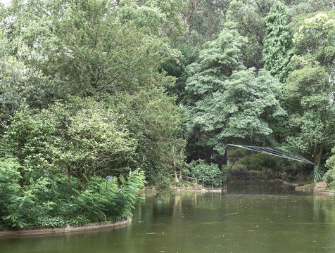 さて、公園の中で家はどこにあるでしょう?