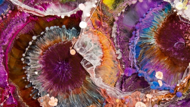 ペトリ皿に閉じ込められた虹色の世界