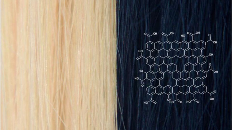 グラフェンで作った最強の染毛剤、将来は髪までガジェットに!?