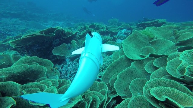 MITの柔らかおさかなロボット「SoFi」がかわいい