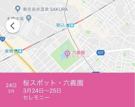 週末の予定は? Googleマップでお花見スポット、わかりますよ