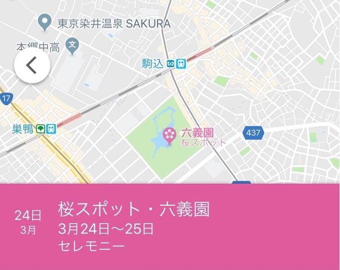 週末の予定は? Googleマップでお花見スポット、わかりますよ
