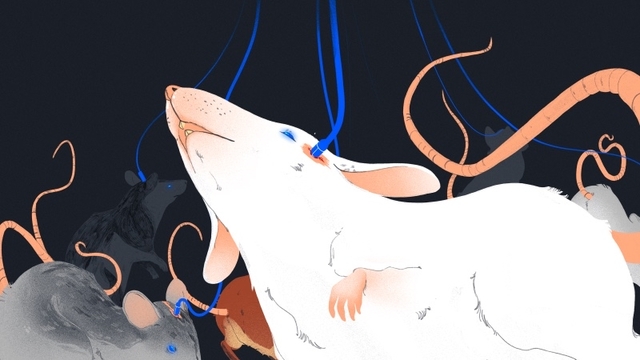 謎につつまれたイーロン・マスクの「テレパシー技術」スタートアップ、動物実験開始か