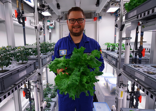 南極大陸のグリーンハウス（日光・土壌なし）で野菜を初収穫。惑星移住の第一歩になりそう！