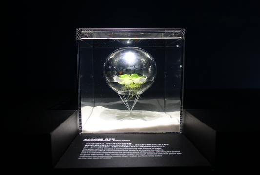 人工の造形が水中生物をもっと魅力的に！ すみだ水族館の｢waterscape 水の中の風景｣に行ってきた