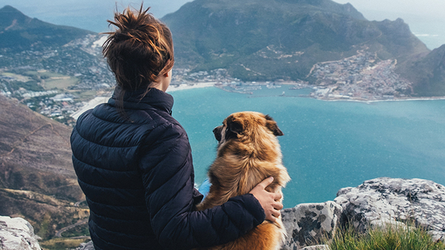 Amazonの次の一手は、ドッグフード