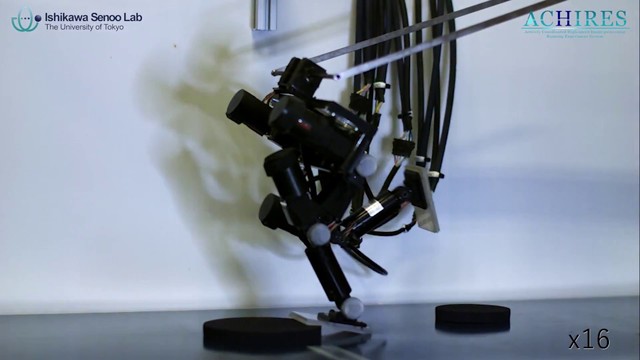 ジャマされたってとにかく走るよ！ 全速力でダッシュするド根性ロボット｢ACHIRES｣