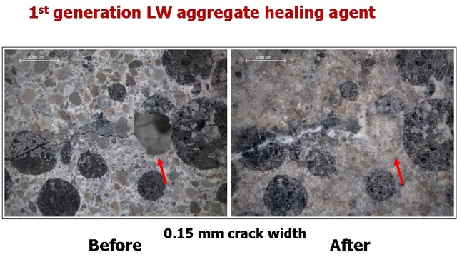 目覚めよバクテリア。ヒビ割れを自己修復するコンクリート補修材が日本に上陸