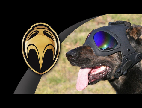 犬専用ミリタリーヘルメット、かわい…カッコよすぎるので我が家の番犬にも装備したい