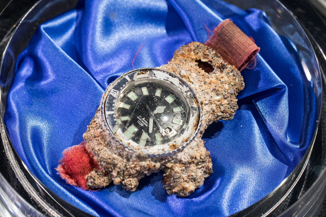 1806_citizen_promaster_7-1