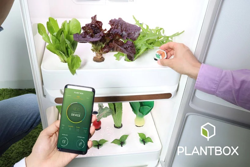 180611_plantbox2